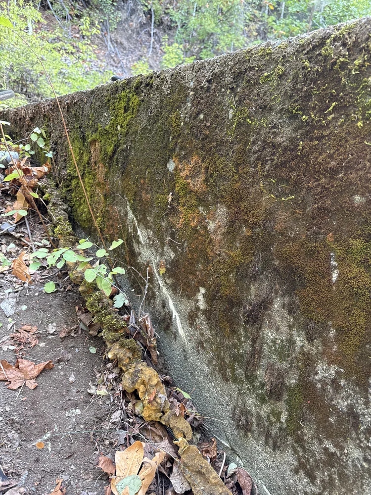 Custom Homes Showcase - Gallery 2