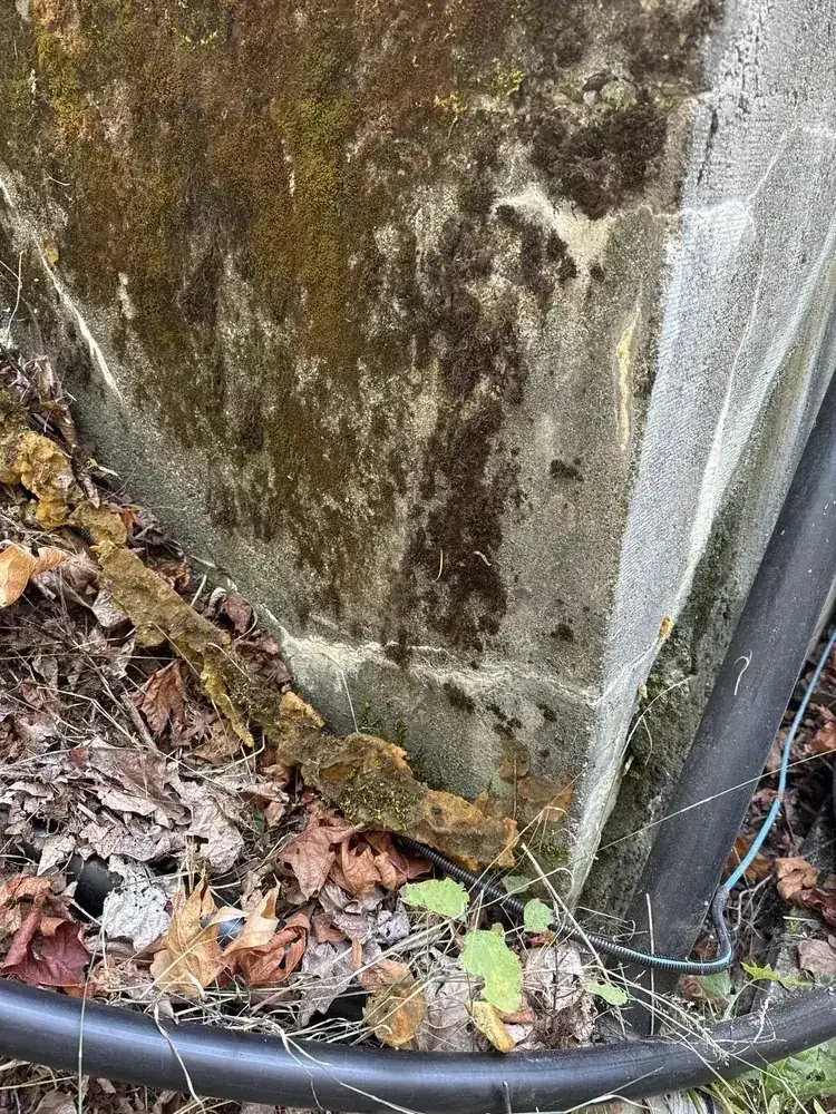 Boston Bar Water Tank Restoration - 3