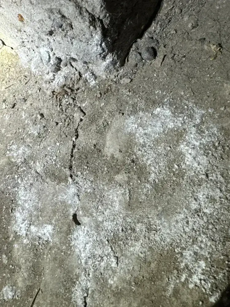 Sardis Crawlspace Waterproofing - 1