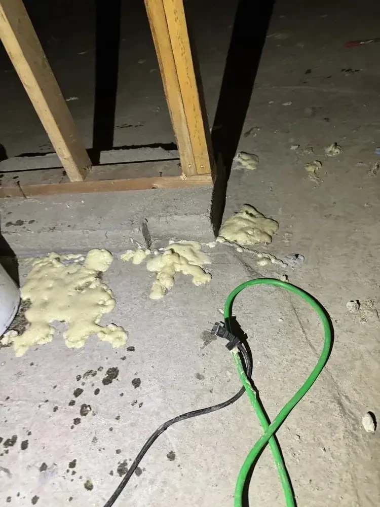Sardis Crawlspace Waterproofing - 2