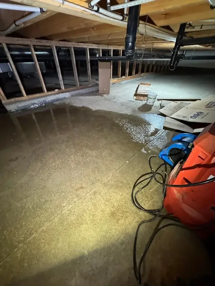 Sardis Crawlspace Waterproofing - 3