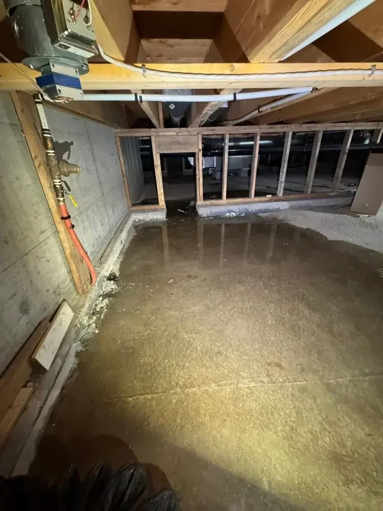 Sardis Crawlspace Waterproofing - 4