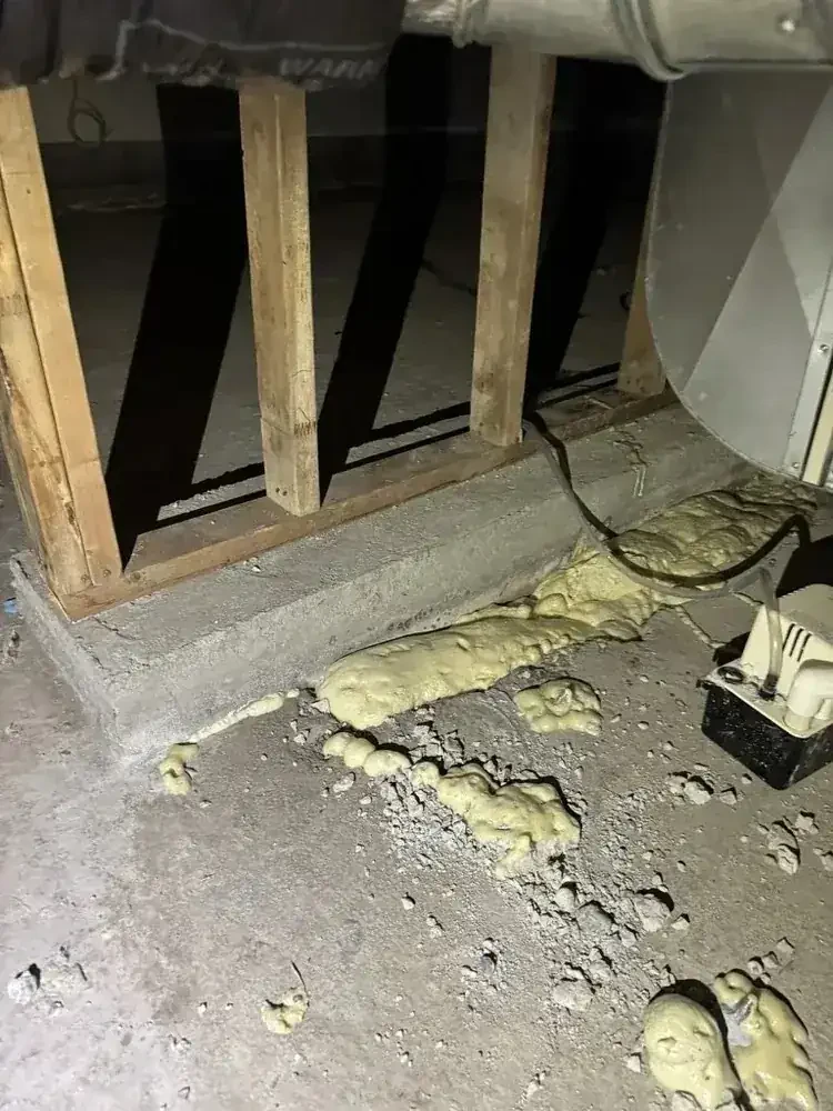 Sardis Crawlspace Waterproofing