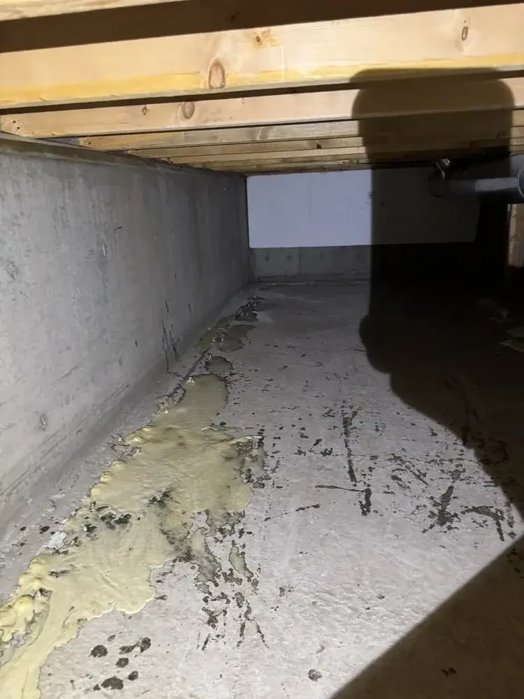 Sardis Crawlspace Waterproofing - 6